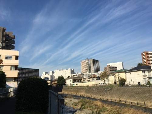 かしの木山自然公園…自転車で行く_b0330040_22504029.jpeg