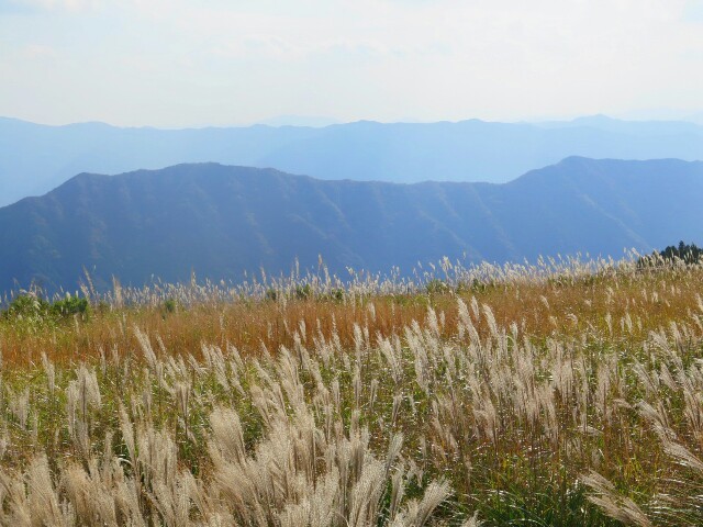 c0292342_21440953.jpg