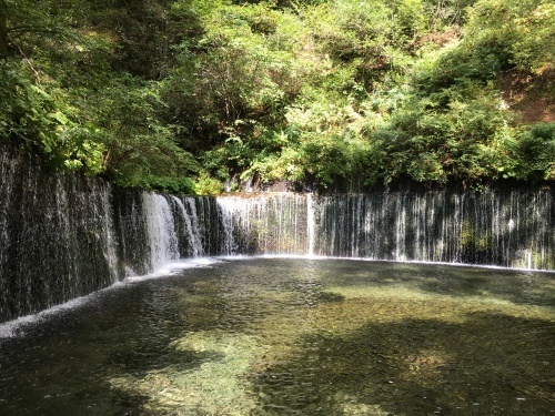 2017年9月23〜24日隊キャンプ  軽井沢ロバ散歩編_b0338345_05544328.jpeg