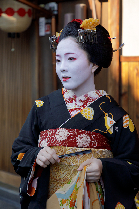 お見世出し 上七軒 勝貴さん 花景色 K W C Photoblog