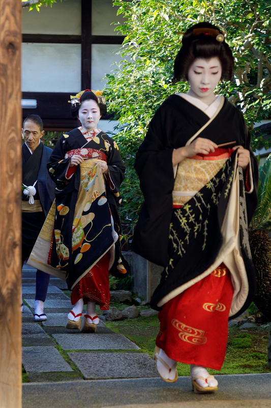 お見世出し 上七軒 勝貴さん 花景色 K W C Photoblog お見世出し 上七軒 勝貴さん 花景色 K W C Photoblog