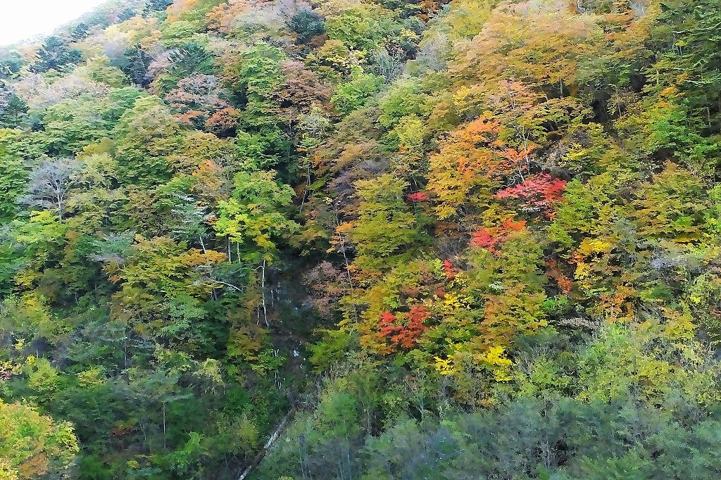 b0236251_16525561.jpg