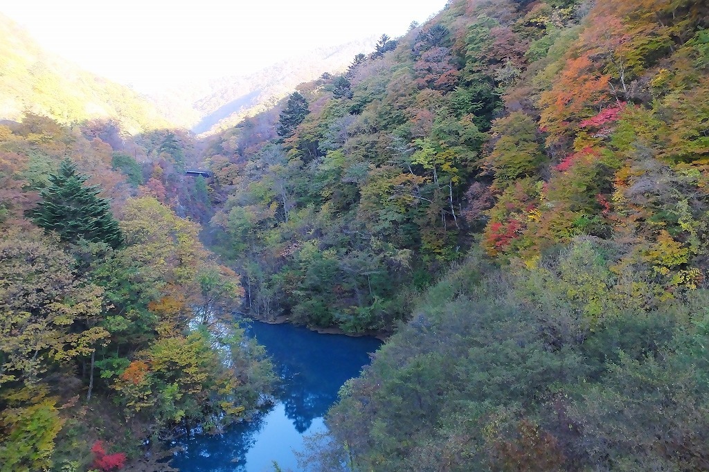 b0236251_16530424.jpg
