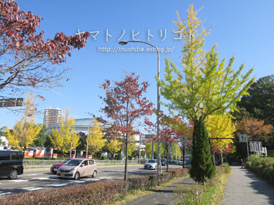 a0286855_07002425.jpg