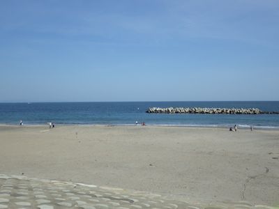 七ヶ浜町菖蒲田浜地区海岸林植樹と海岸遊びの旅_c0355655_15194131.jpg