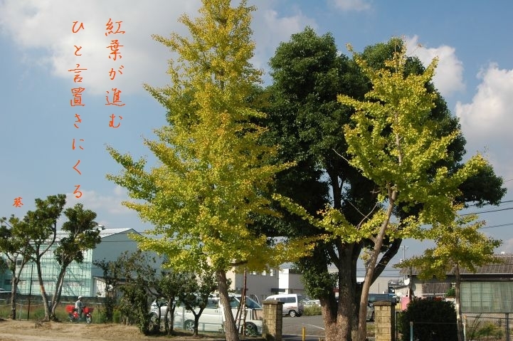 f0379160_10283707.jpg