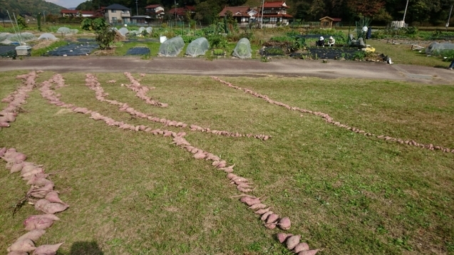 f0324461_13500806.jpg