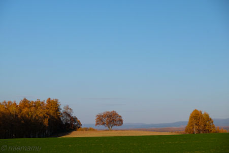 d0340565_20125911.jpg