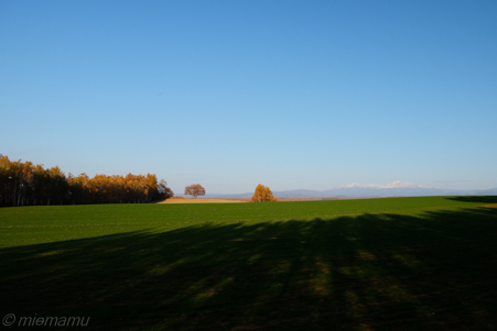 d0340565_20130741.jpg
