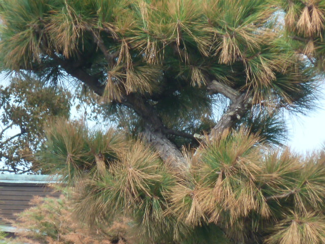e0278968_22150929.jpg