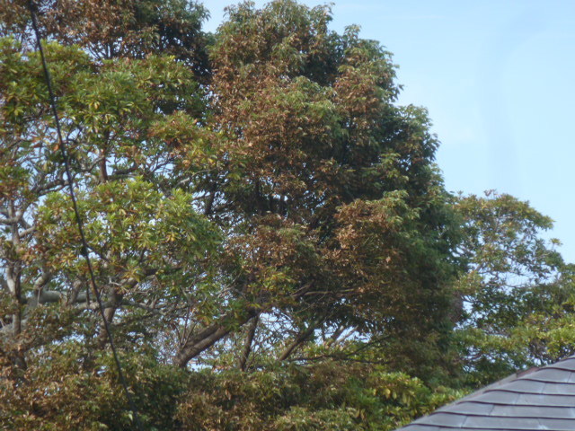 e0278968_22190563.jpg