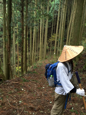 2017.11.04 晴 三坂峠 浄瑠璃寺 他石手寺宿が取れず松山ユースホテル_c0217871_21271350.jpg