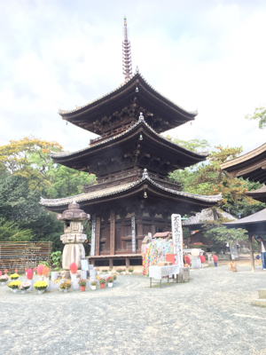 2017.11.04 晴 三坂峠 浄瑠璃寺 他石手寺宿が取れず松山ユースホテル_c0217871_21273824.jpg