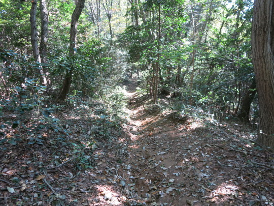 b0144174_20492905.jpg