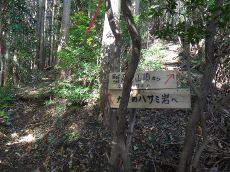 d0182075_19475201.jpg