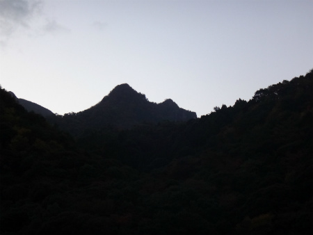 d0182075_20031925.jpg