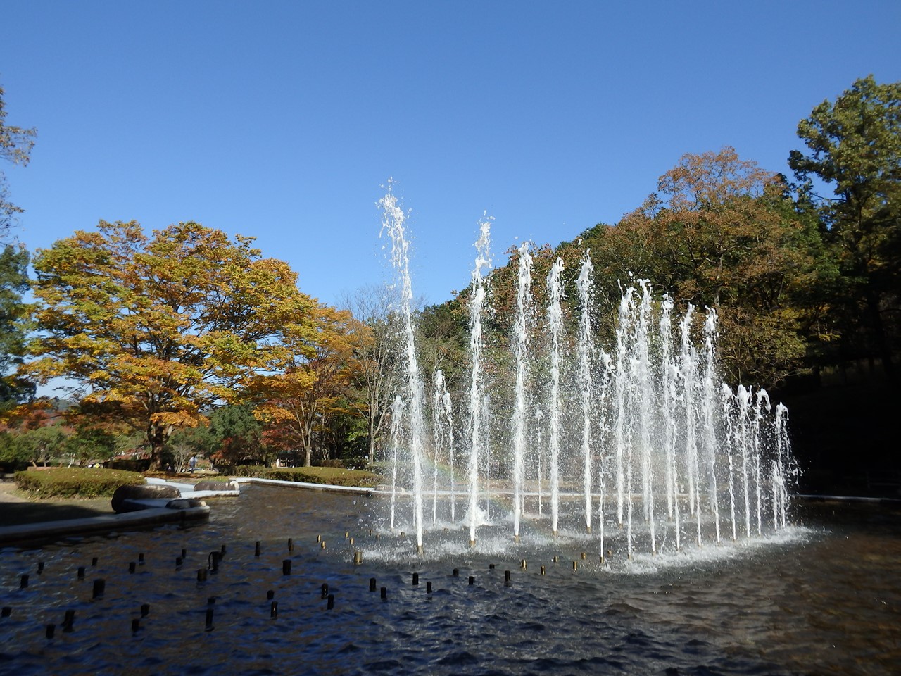 『岐阜県博物館にも行ってみました～』_d0054276_2022016.jpg