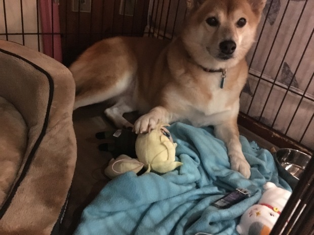 b0377882_23462574.jpeg