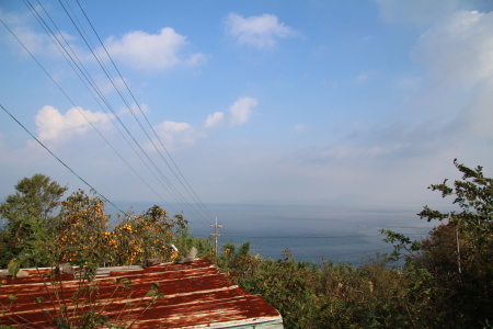 e0061785_11472000.jpg
