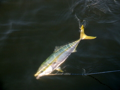 b0192588_9282535.jpg
