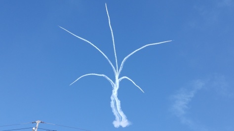 f0119889_15252485.jpg