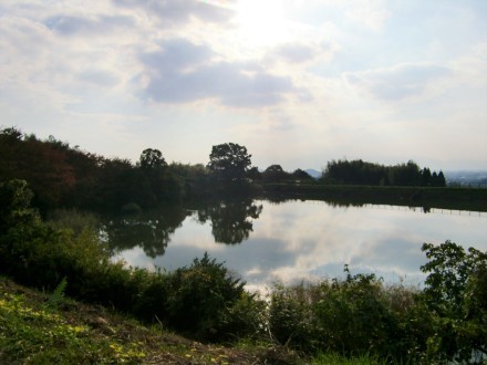 d0345695_12151065.jpg