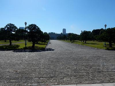 b0051598_21214515.jpg
