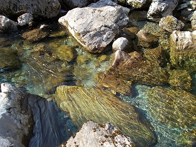 f0308898_21052845.jpg