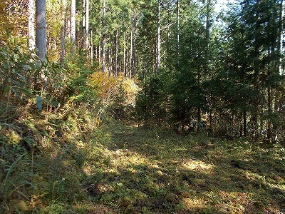 f0308898_21133584.jpg
