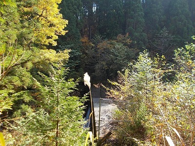 f0308898_21151472.jpg
