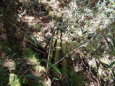 f0308898_21153612.jpg