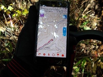 f0308898_21161690.jpg