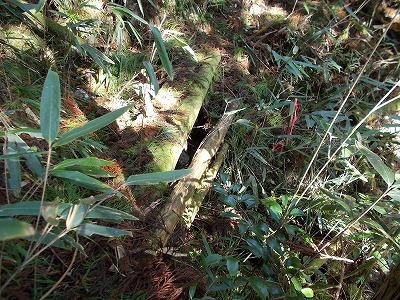 f0308898_21171081.jpg