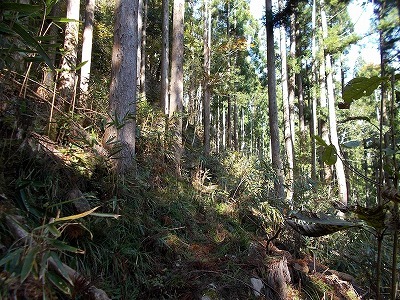 f0308898_21172390.jpg