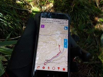 f0308898_21175230.jpg