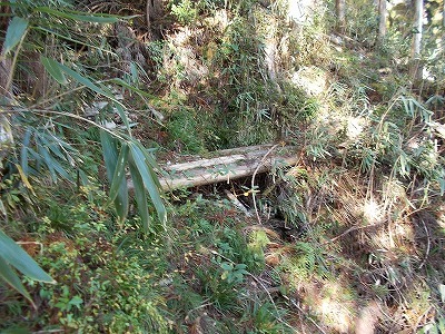 f0308898_21181701.jpg
