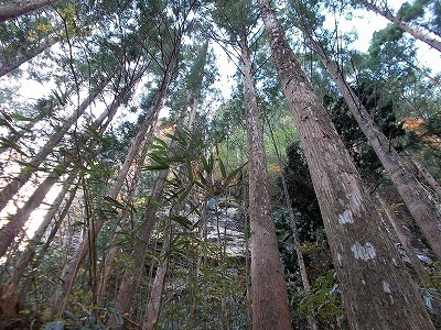 f0308898_21233649.jpg