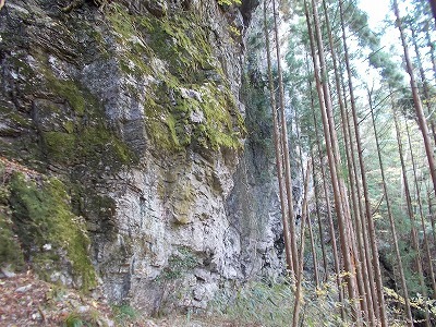 f0308898_21241484.jpg