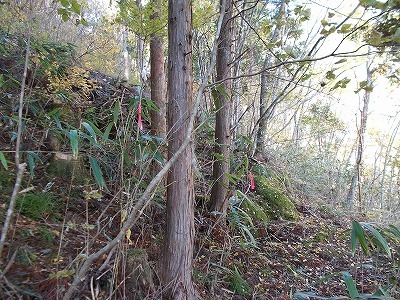 f0308898_21271223.jpg