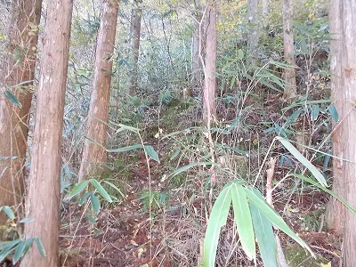 f0308898_21284864.jpg