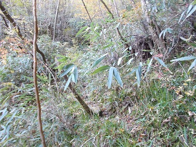 f0308898_21291298.jpg