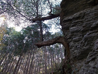 f0308898_21301748.jpg