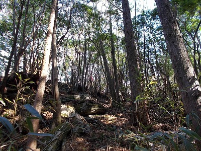 f0308898_21303503.jpg