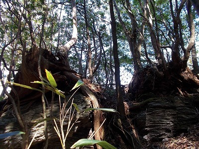 f0308898_21304832.jpg