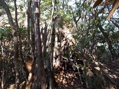 f0308898_21305916.jpg
