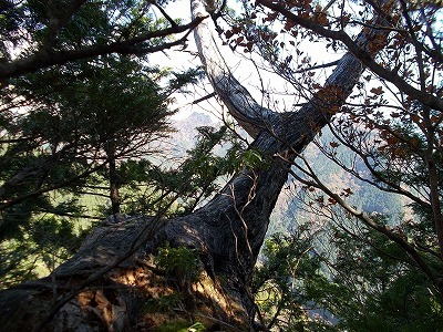 f0308898_21311324.jpg