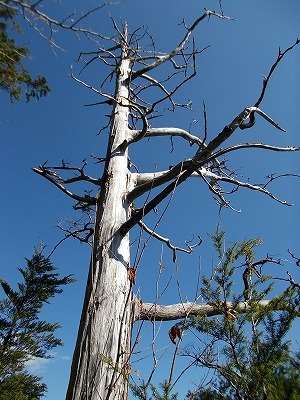 f0308898_21315524.jpg