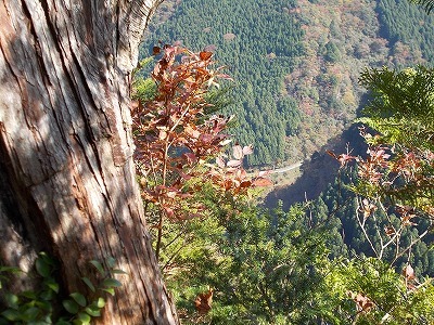 f0308898_21320215.jpg