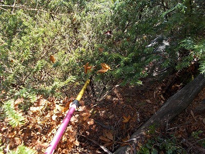 f0308898_21342872.jpg