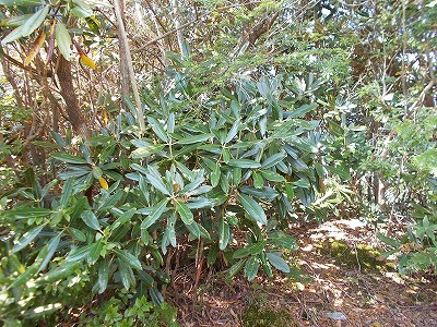 f0308898_21345572.jpg
